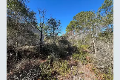 394 Royal Tern Way, Carrabelle, FL 32322 - Photo 6