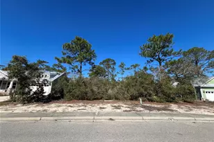 394 Royal Tern Way, Carrabelle, FL 32322 - Photo 1