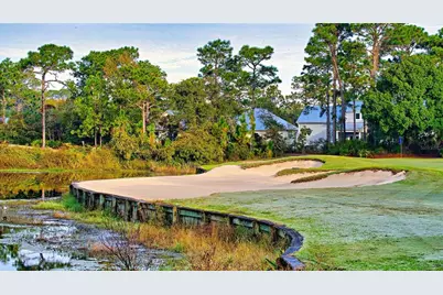 394 Royal Tern Way, Carrabelle, FL 32322 - Photo 18