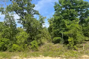 Rome Ave, Alford, FL 32420 - Photo 1