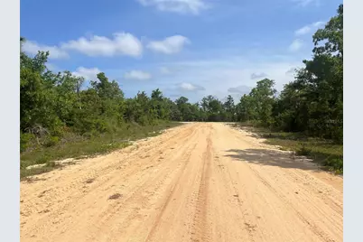 Rome Avenue, Alford, FL 32420 - Photo 2