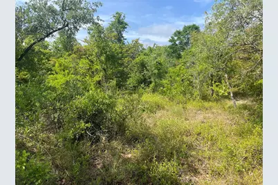 Rome Avenue, Alford, FL 32420 - Photo 4