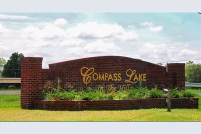 Rome Avenue, Alford, FL 32420 - Photo 8