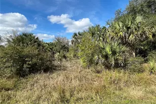 14667 NW 294th St, Okeechobee, FL 34972 - Photo 1