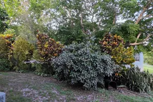 13206 SW 144th Pkwy, Okeechobee, FL 34974 - Photo 50