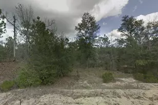 187 Paris St, Interlachen, FL 32148 - Photo 1