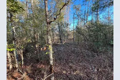 Goreville Avenue, Alford, FL 32420 - Photo 6