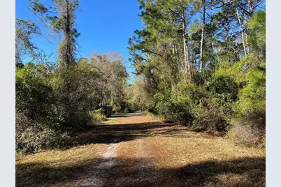 208 SE 3rd Street, Georgetown, FL 32139 - Photo 4
