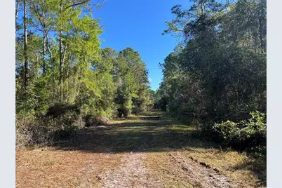 208 SE 3rd Street, Georgetown, FL 32139 - Photo 1