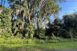 268 Toms Rd, Debary, FL 32713 - Photo 1