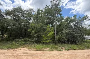 138 SE 8th Ave, Interlachen, FL 32148 - Photo 1