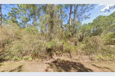 337 Palm Way, Georgetown, FL 32139 - Photo 6