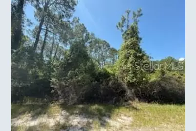 337 Palm Way, Georgetown, FL 32139 - Photo 1