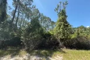 337 Palm Way, Georgetown, FL 32139 - Photo 1