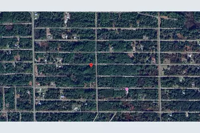 337 Palm Way, Georgetown, FL 32139 - Photo 8