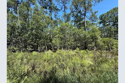 210 SE 2nd Street, Georgetown, FL 32139 - Photo 4
