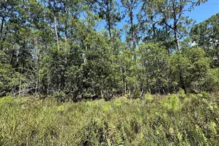 210 SE 2nd St, Georgetown, FL 32139 - Photo 1