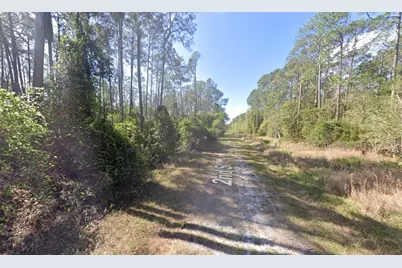 210 SE 2nd Street, Georgetown, FL 32139 - Photo 6