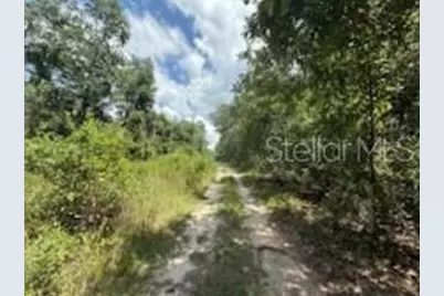 313 Calhoun Avenue, Florahome, FL 32140 - Photo 1