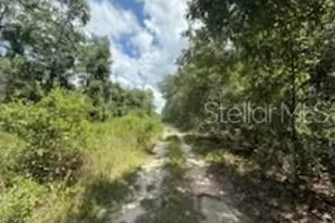 313 Calhoun Ave, Florahome, FL 32140 - Photo 1