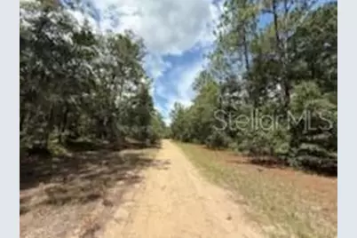 109 Pinellas Street, Florahome, FL 32140 - Photo 6