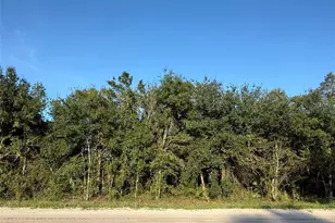 20796 NW 298th St, Okeechobee, FL 34972 - Photo 1