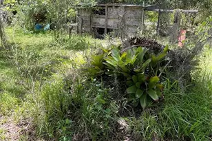 1715 NE 308th St, Okeechobee, FL 34972 - Photo 38