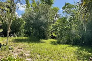 1715 NE 308th St, Okeechobee, FL 34972 - Photo 26