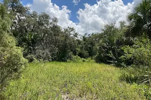 1715 NE 308th St, Okeechobee, FL 34972 - Photo 34