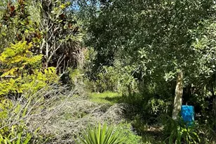 1715 NE 308th St, Okeechobee, FL 34972 - Photo 14