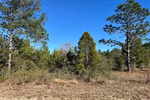 Fairview Rd, Marianna, FL 32448 - Photo 1