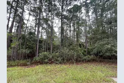117 Mosswood Street, Georgetown, FL 32139 - Photo 4