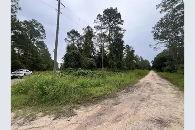 Hickory Nut Trail, Satsuma, FL 32189 - Photo 6
