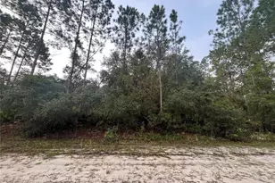 119 Gardenia Ave, Georgetown, FL 32139 - Photo 1