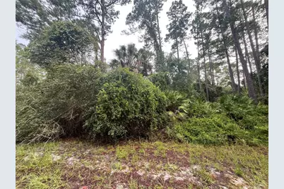 120 Gardenia Avenue, Georgetown, FL 32139 - Photo 2