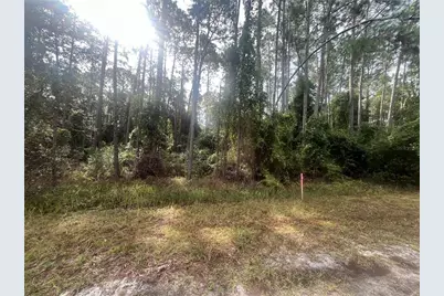 223 SE 2nd Street, Georgetown, FL 32139 - Photo 2