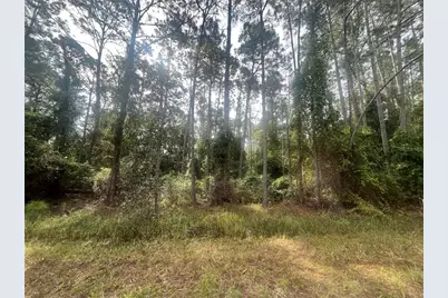 223 SE 2nd Street, Georgetown, FL 32139 - Photo 1