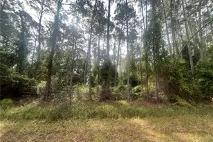 223 SE 2nd St, Georgetown, FL 32139 - Photo 1