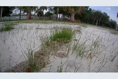 19374 NW 302nd Street, Okeechobee, FL 34972 - Photo 12