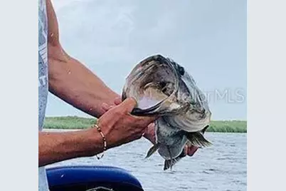 19374 NW 302nd Street, Okeechobee, FL 34972 - Photo 18