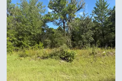 79th Terrace Road, Dunnellon, FL 34432 - Photo 1