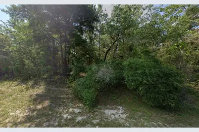 79th Terrace Road, Dunnellon, FL 34432 - Photo 1