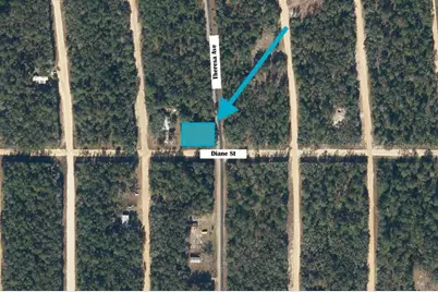 Tbd Theresa Avenue, Interlachen, FL 32148 - Photo 1