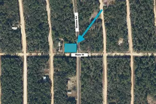 Tbd Theresa Ave, Interlachen, FL 32148 - Photo 1