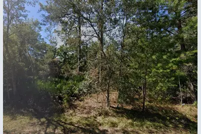 Tbd Theresa Avenue, Interlachen, FL 32148 - Photo 1