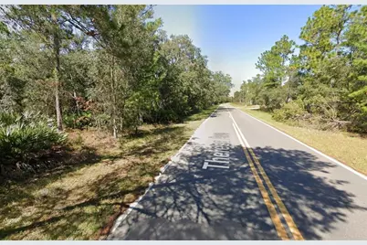 Tbd Theresa Avenue, Interlachen, FL 32148 - Photo 8