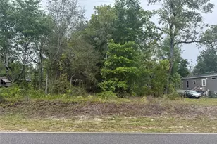 Dawn Ave, Interlachen, FL 32148 - Photo 1