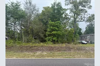 Dawn Avenue, Interlachen, FL 32148 - Photo 2