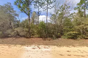 421 Brett Ave, Interlachen, FL 32148 - Photo 1