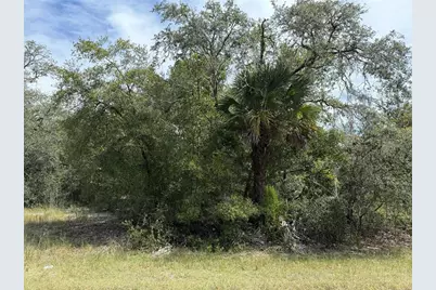 9793 N Alder Avenue, Crystal River, FL 34428 - Photo 1